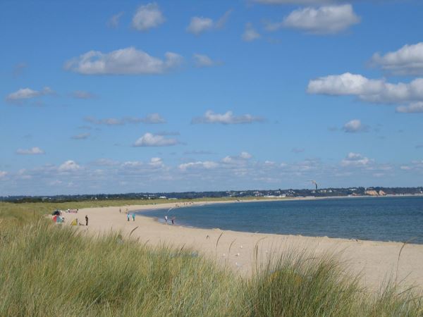 Things to do in Studland
