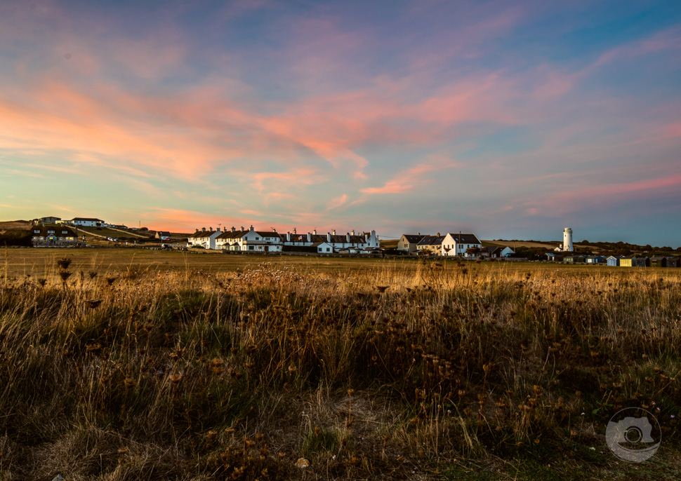 Wildlife at Portland Bill