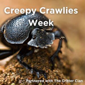Creepy Crawlies Week