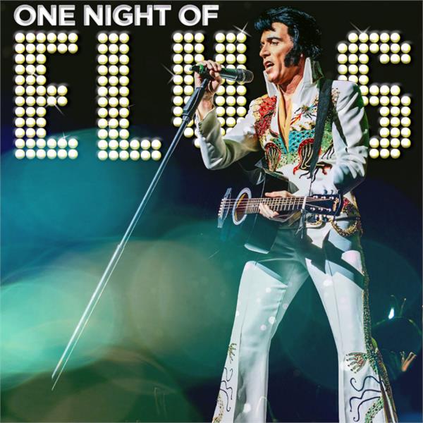 One Night of Elvis - Lee Memphis King