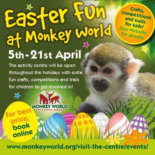 Easter Fun at Monkey World